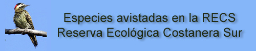 Reserva Ecolgica Costanera Sur