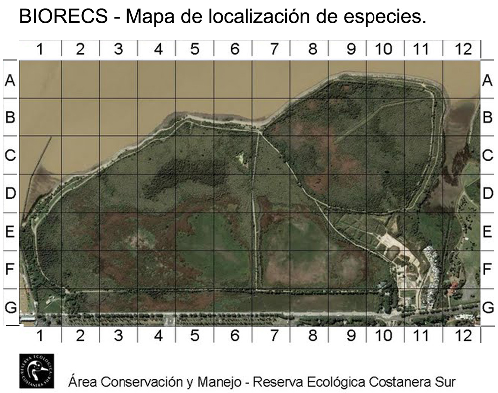 Mapa Reserva Ecolgica Costanera Sur (RECS)
